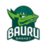 巴乌鲁LDB U22
